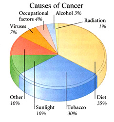 cancer-basics-1-initiation-progression-pie-chart
