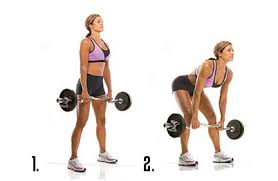 exercise-biopower-deadlifts