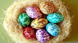 eggs-in-nest