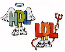 HDL-LDL