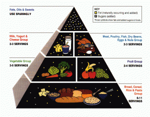 usda_food_pyramid